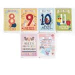 Cartões Primeiro Ano Bebé Milestone (em Português) Cartões Primeiro Ano Bebé Milestone (em Português)