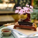 LEGO 10281 - Botânica - Bonsai LEGO 10281 - Botânica - Bonsai