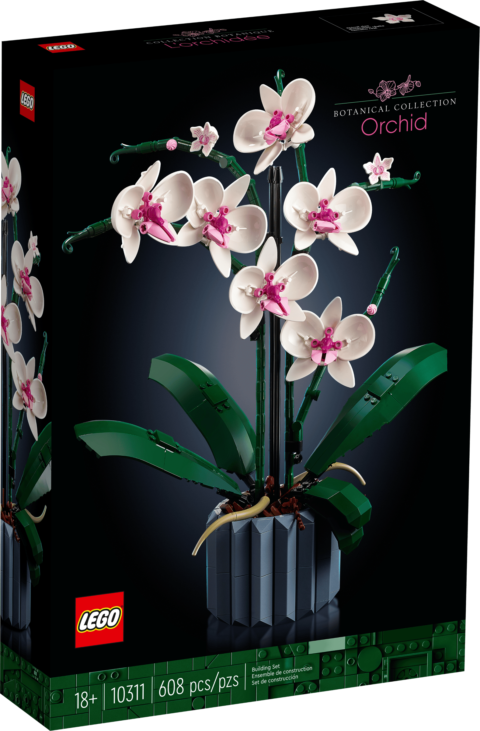 LEGO 10311 - Botânica - Orquídea LEGO 10311 - Botânica - Orquídea