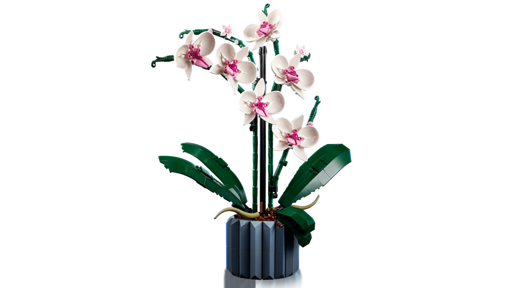 Babystore.pt - Bens para Bebés e Crianças de 0 a 6 Anos LEGO Botanical Collection 10311 Orquídea - modelo montado em vaso azul