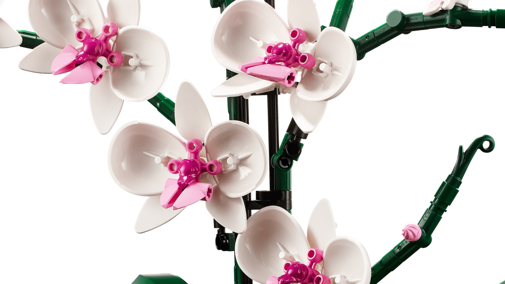 Babystore.pt - Bens para Bebés e Crianças de 0 a 6 Anos LEGO 10311 - Pormenor das flores brancas e rosa da Orquídea