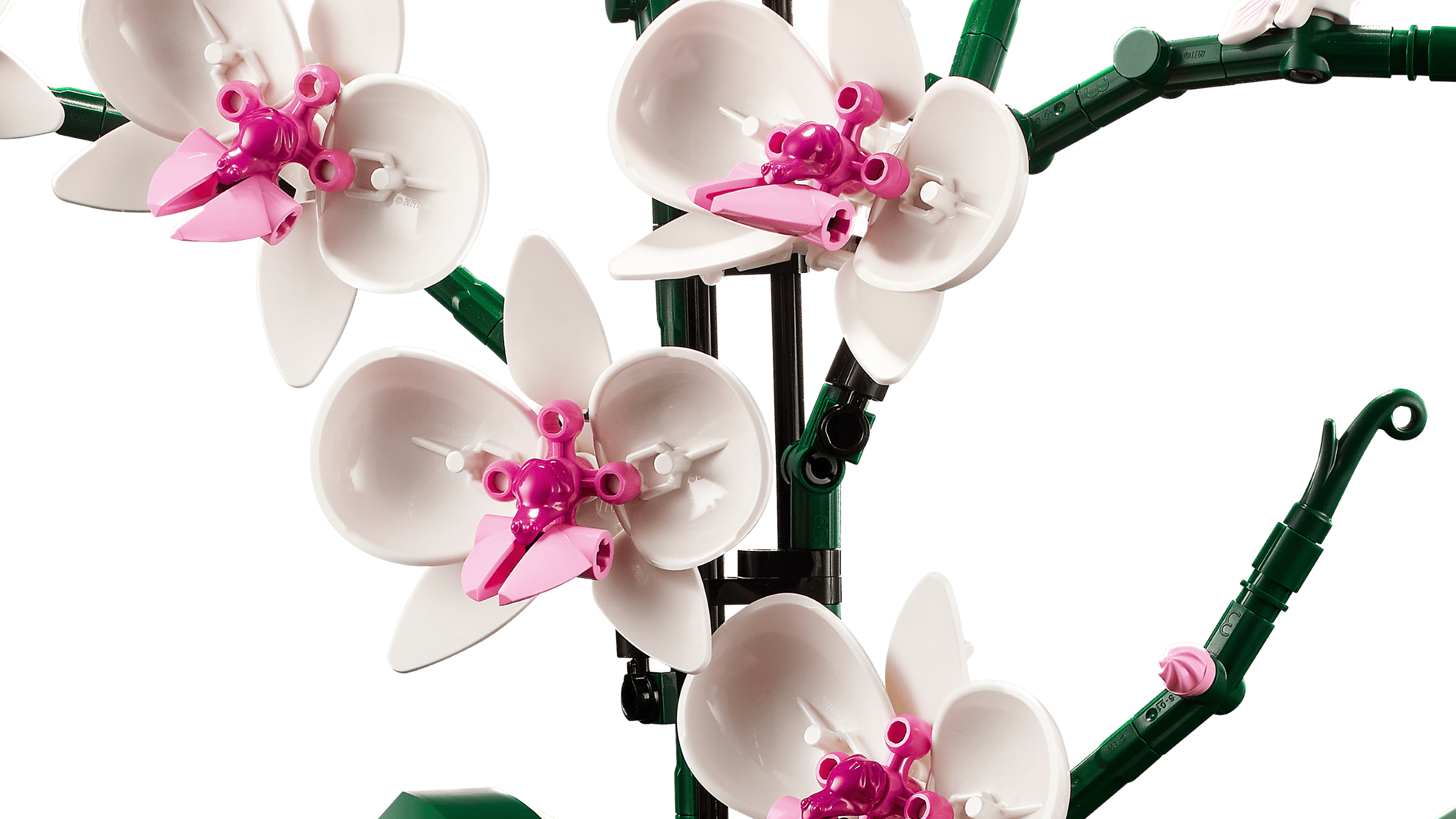 LEGO 10311 - Botânica - Orquídea LEGO 10311 - Botânica - Orquídea
