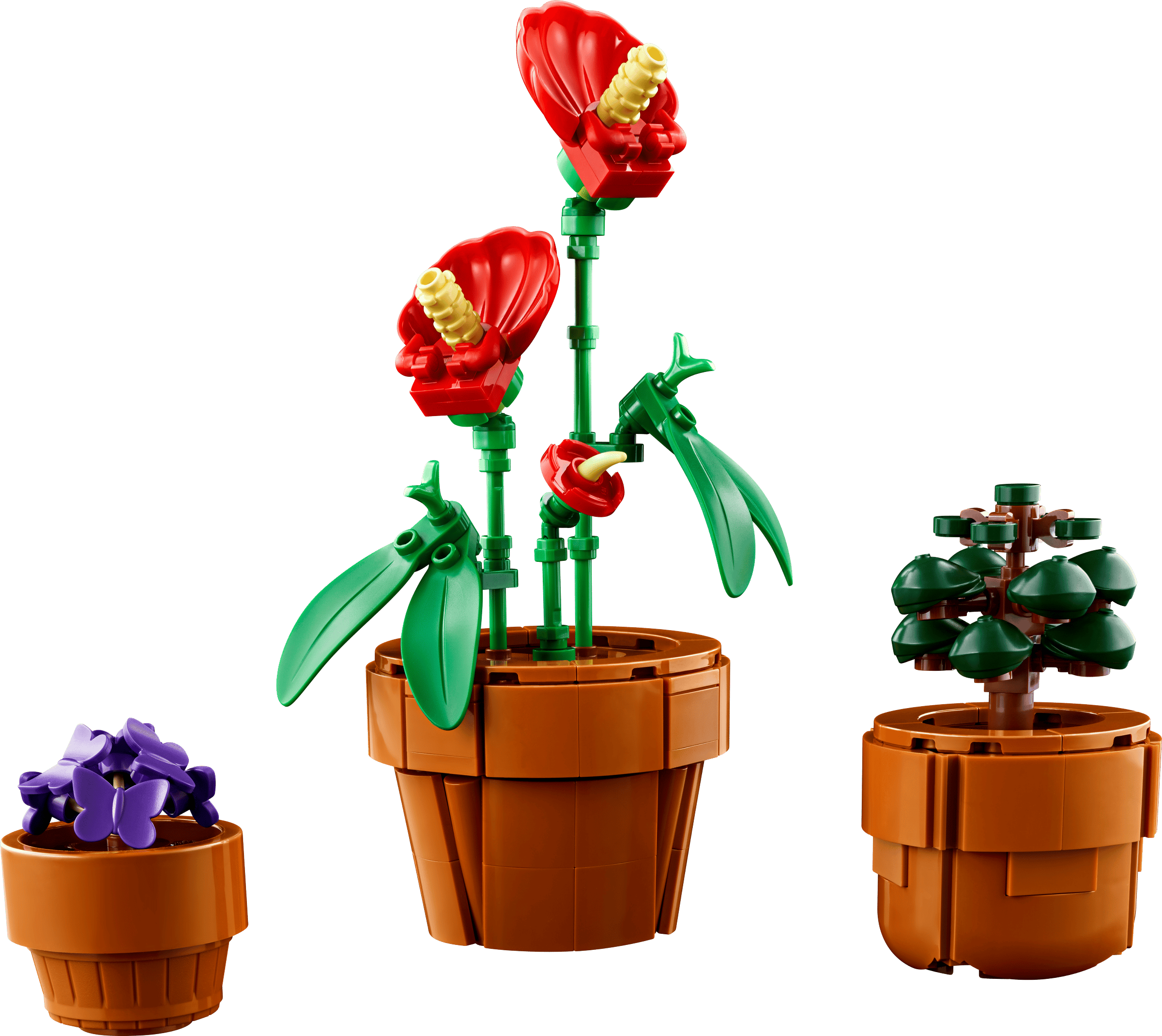 LEGO 10329 - Botânica - Plantas em Miniatura