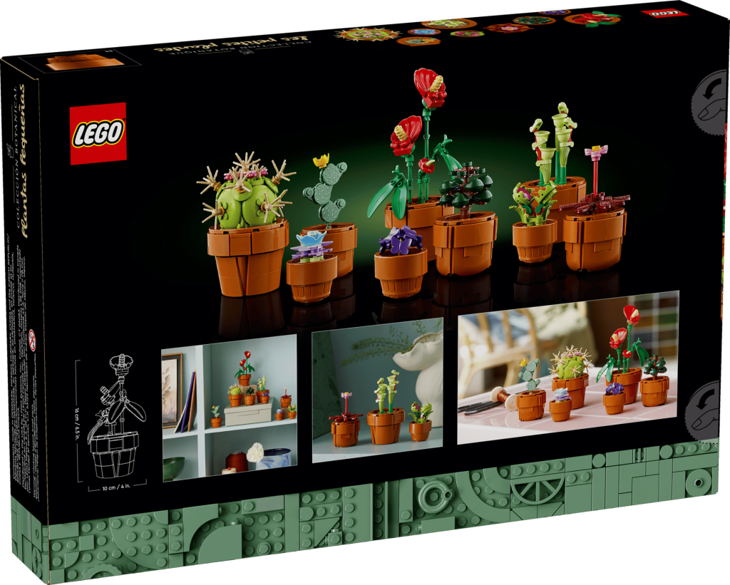 LEGO 10329 Plantas em Miniatura - Verso da caixa com dimensões e variedade de espécies