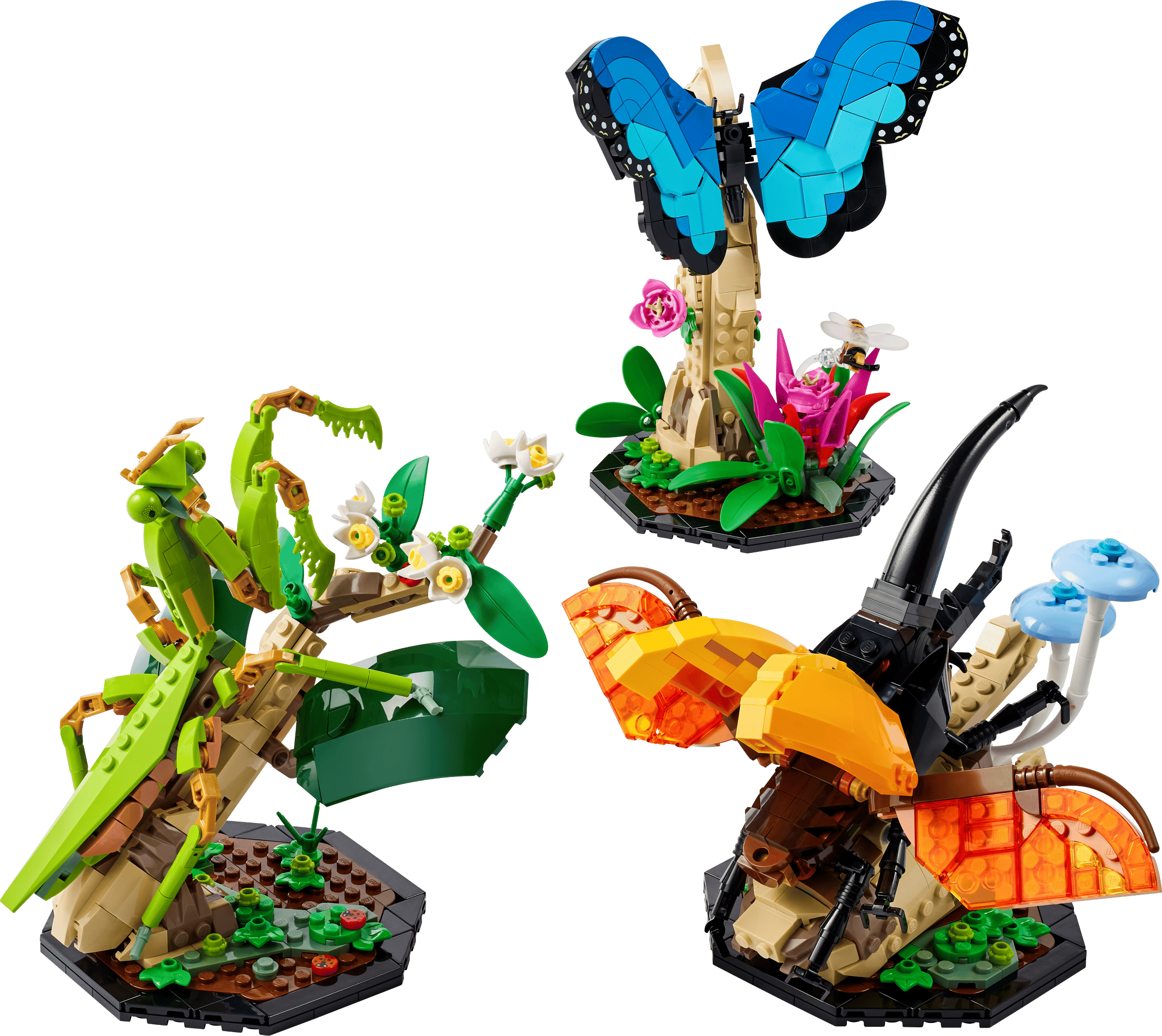 LEGO 21342 - Coleção de Insetos LEGO 21342 - Coleção de Insetos