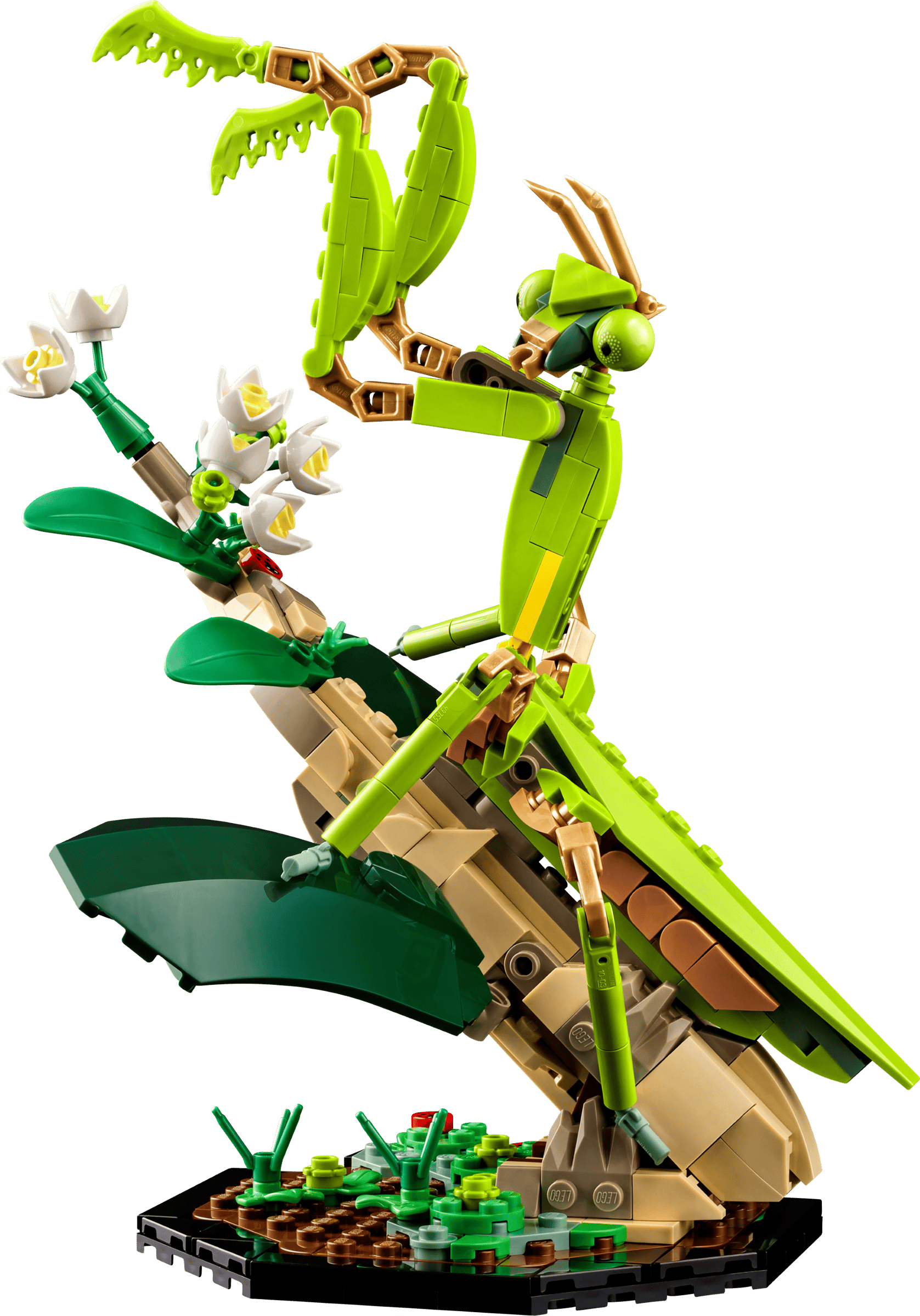 LEGO 21342 - Coleção de Insetos LEGO 21342 - Coleção de Insetos