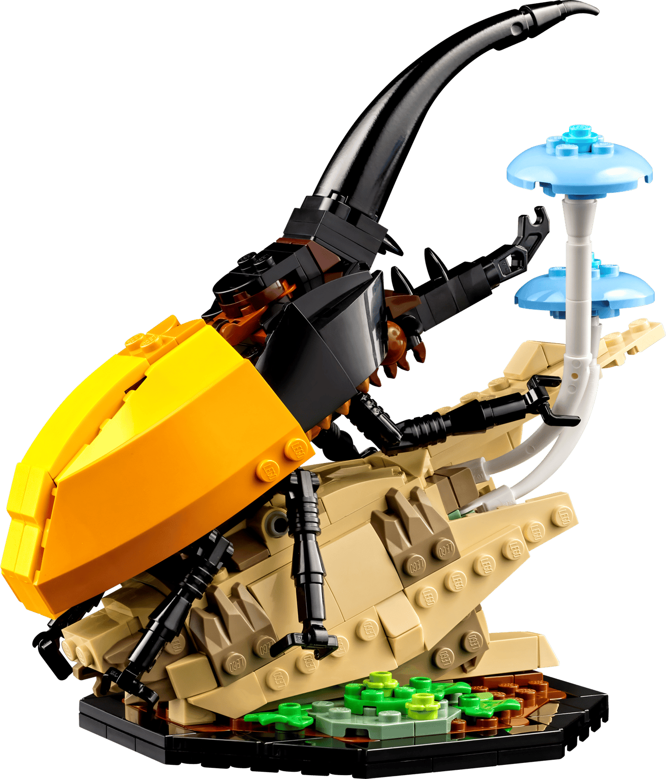 LEGO 21342 - Coleção de Insetos LEGO 21342 - Coleção de Insetos