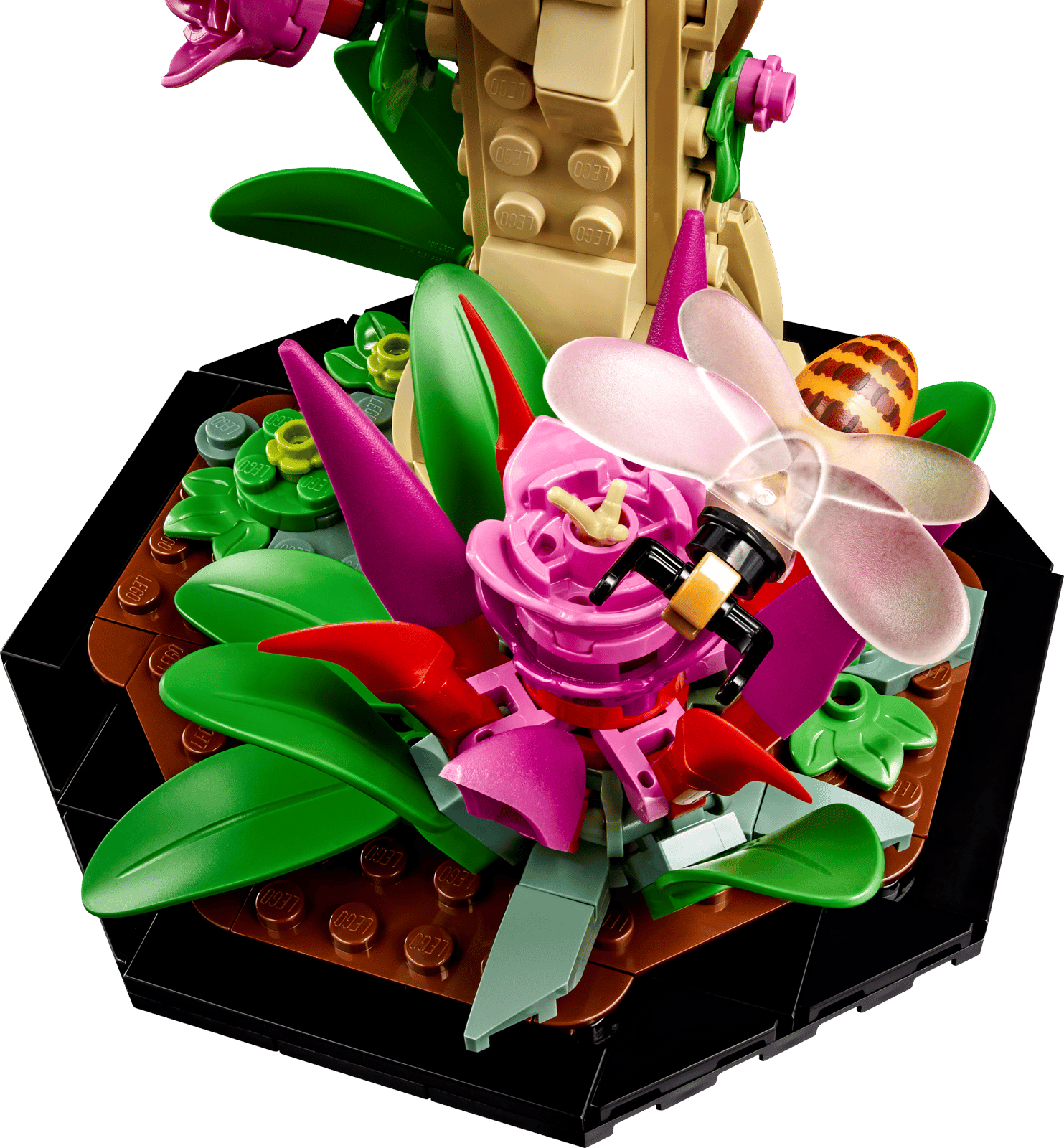 LEGO 21342 - Coleção de Insetos LEGO 21342 - Coleção de Insetos